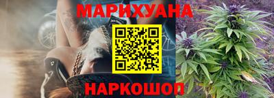 крисы Ирбит