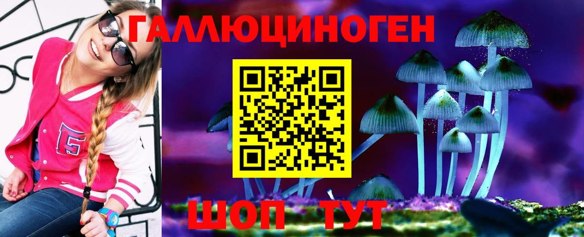 Волоколамск  Галлюциногенные грибы Psilocybe  Вход с VPN  Галлюциногенные грибы Psilocybe 